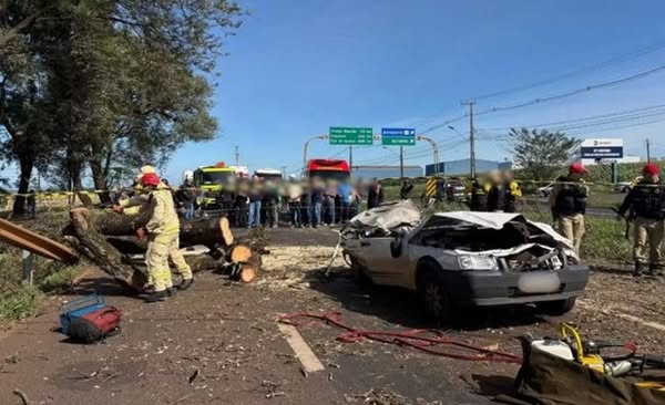 HOMEM MORRE APÓS ÁRVORE CAIR SOBRE CARRO NA PR-317 EM MARINGÁ