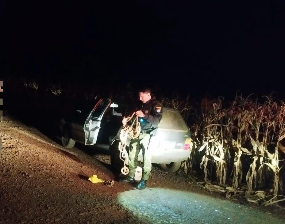 Dois homens são detidos por porte ilegal de arma e suspeita de caça em área de preservação no Rio Ivaí