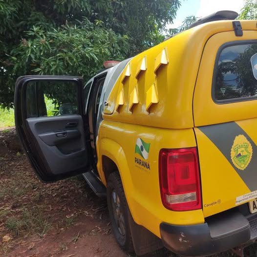 LADRÕES INVADEM PROPRIEDADE RURAL E FURTAM NOVE CABEÇAS DE GADO
