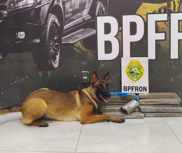 K9 “KIRA” FAREJA, E HOMEM É DETIDO COM 17 QUILOS DE M4C0NHA EM ÔNIBUS, NA RODOVIA PR-323