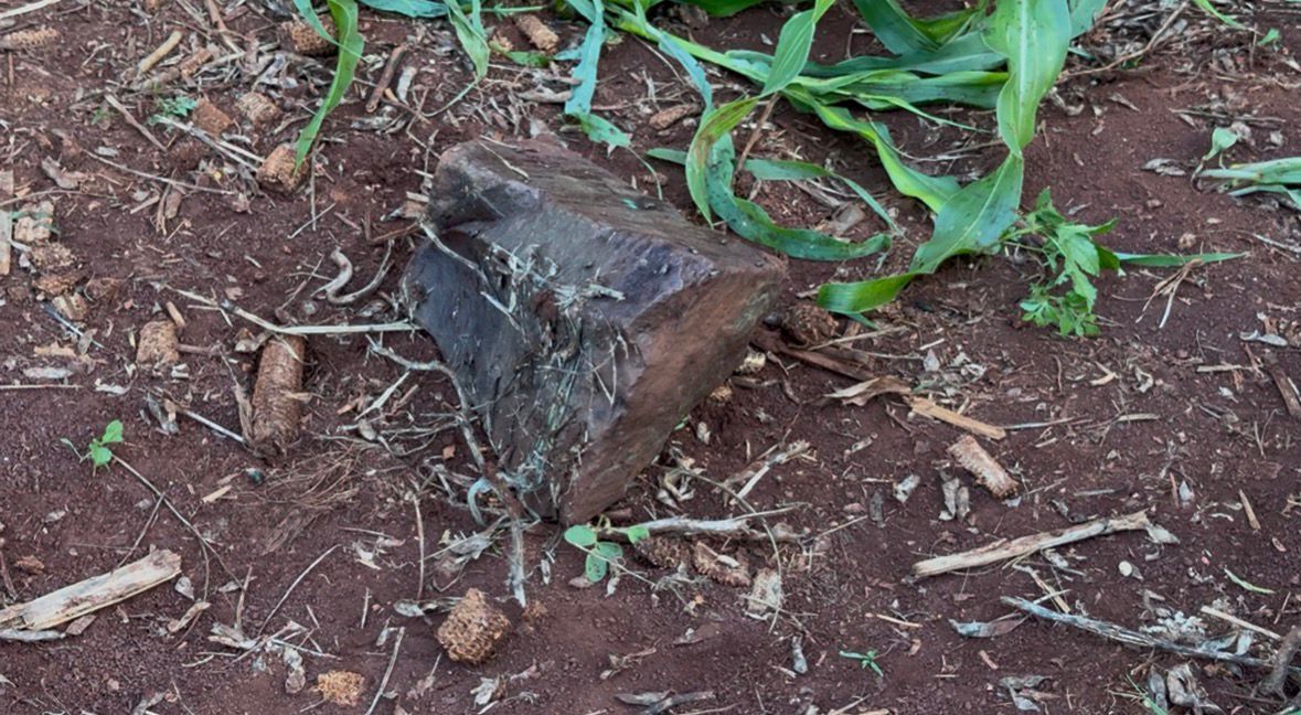 IDENTIFICADO HOMEM ENCONTRADO MORTO EM ESTADO DE DECOMPOSIÇÃO EM PEABIRU