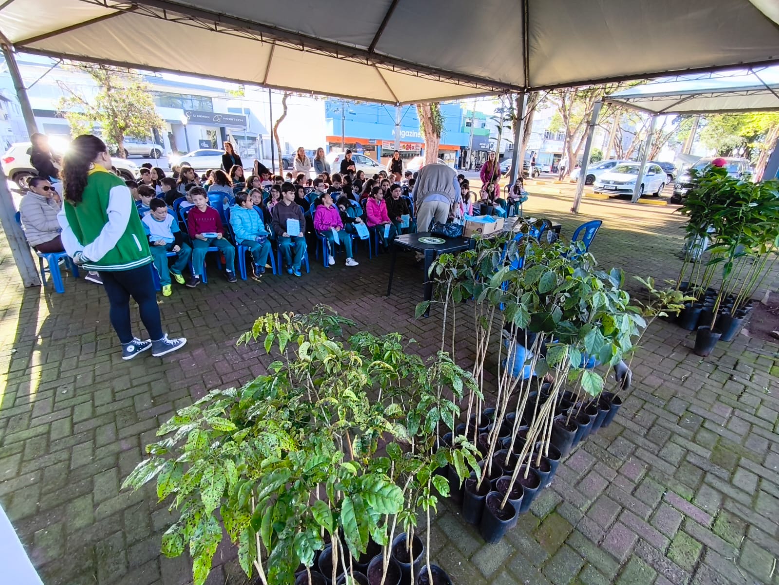 Educação ambiental marca Semana do Meio Ambiente em Campo Mourão